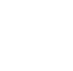 Logo Footer